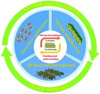 Graphical abstract: Recent developments and insights into the understanding of Na metal anodes for Na-metal batteries
