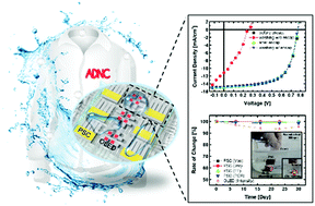 Graphical abstract: Textile-based washable polymer solar cells for optoelectronic modules: toward self-powered smart clothing