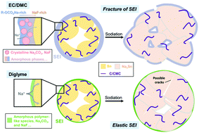 Graphical abstract: Nanostructures of solid electrolyte interphases and their consequences for microsized Sn anodes in sodium ion batteries