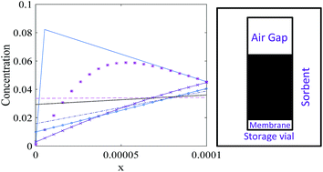 Graphical abstract: New applications of the mathematical model of a permeation passive sampler: prediction of the effective uptake rate and storage stability