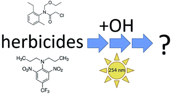 Graphical abstract: Atmospheric OH oxidation chemistry of trifluralin and acetochlor