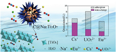 Graphical abstract: Core–shell hierarchical C@Na2Ti3O7·9H2O nanostructures for the efficient removal of radionuclides