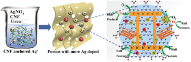 Graphical abstract: Cellulose nanofibrils anchored Ag on graphitic carbon nitride for efficient photocatalysis under visible light