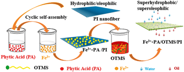 Graphical abstract: Nature-inspired creation of a robust free-standing electrospun nanofibrous membrane for efficient oil–water separation