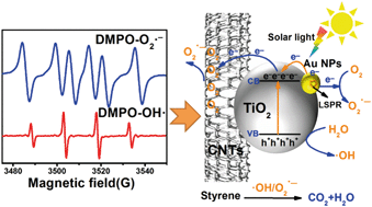 Graphical abstract: Micro/nano-bubble assisted synthesis of Au/TiO2@CNTs composite photocatalyst for photocatalytic degradation of gaseous styrene and its enhanced catalytic mechanism