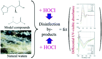 Graphical abstract: Understanding the behaviour of UV absorbance of natural waters upon chlorination using model compounds