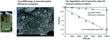 Graphical abstract: Whey protein isolate–low methoxyl pectin nanocomplexes improve physicochemical and stability properties of quercetin in a model fat-free beverage