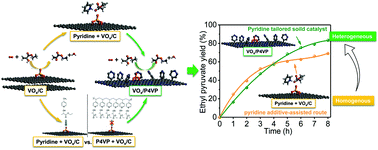 Graphical abstract: Designing effective solid catalysts for biomass conversion: aerobic oxidation of ethyl lactate to ethyl pyruvate