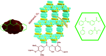Graphical abstract: Covalent triazine framework catalytic oxidative cleavage of lignin models and organosolv lignin