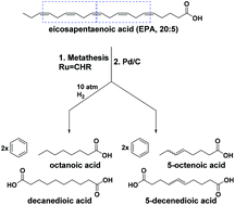Graphical abstract: Microalgae lipids as a feedstock for the production of benzene