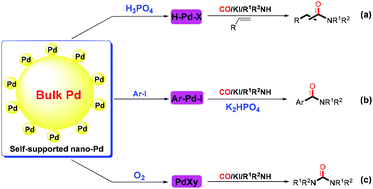 Graphical abstract: Organic ligand-free carbonylation reactions with unsupported bulk Pd as catalyst