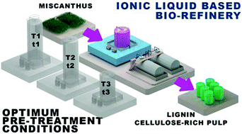 Graphical abstract: Rapid pretreatment of Miscanthus using the low-cost ionic liquid triethylammonium hydrogen sulfate at elevated temperatures