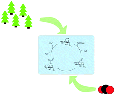 Graphical abstract: The CO2 capturing ability of cellulose dissolved in NaOH(aq) at low temperature