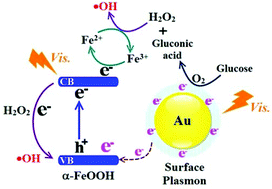 Graphical abstract: A surface plasmon-enhanced nanozyme-based fenton process for visible-light-driven aqueous ammonia oxidation