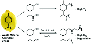 Graphical abstract: New renewably-sourced polyesters from limonene-derived monomers