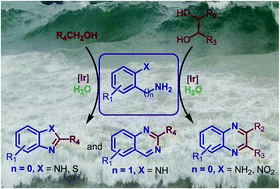 Graphical abstract: Cooperative iridium complex-catalyzed synthesis of quinoxalines, benzimidazoles and quinazolines in water