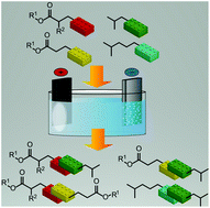 Graphical abstract: Electrochemical cross-coupling of biogenic di-acids for sustainable fuel production