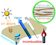 Graphical abstract: Non-flammable and moisture-permeable UV protection films only from plant polymers and clay minerals