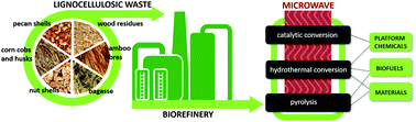 Graphical abstract: From waste biomass to chemicals and energy via microwave-assisted processes