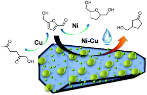Graphical abstract: Catalytic selective hydrogenation and rearrangement of 5-hydroxymethylfurfural to 3-hydroxymethyl-cyclopentone over a bimetallic nickel–copper catalyst in water
