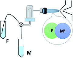 Graphical abstract: Plasma processes to detect fluorine with ICPMS/MS as [M–F]+: an argument for building a negative mode ICPMS/MS