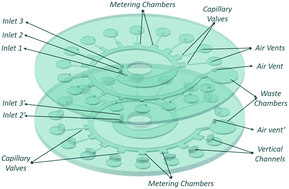 Graphical abstract: A linear concentration gradient generator based on multi-layered centrifugal microfluidics and its application in antimicrobial susceptibility testing