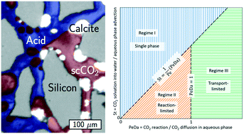 Graphical abstract: Mechanisms of multiphase reactive flow using biogenically calcite-functionalized micromodels