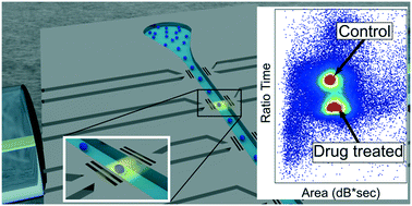 Graphical abstract: On-chip refractive index cytometry for whole-cell deformability discrimination