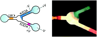 Graphical abstract: Dynamic control of capillary flow in porous media by electroosmotic pumping