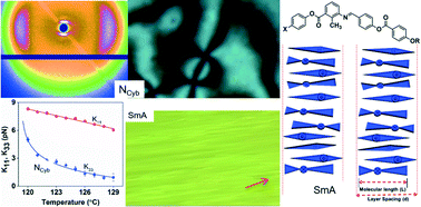 Graphical abstract: Influence of terminal halogen moieties on the phase structure of short-core achiral hockey-stick-shaped mesogens: design, synthesis and structure–property relationship
