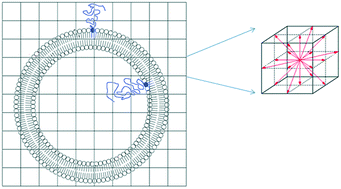 Graphical abstract: A multiscale approach to study molecular and interfacial characteristics of vesicles