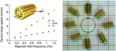 Graphical abstract: Hard-magnetic cell microscaffolds from electroless coated 3D printed architectures