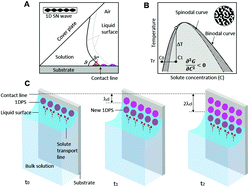 Graphical abstract: Two-dimensional arrays self-assembled via interference of concentration modulation waves in drying solutions