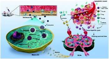 Graphical abstract: Hybrid ‘clusterbombs’ as multifunctional nanoplatforms potentiate brain tumor immunotherapy