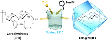 Graphical abstract: Carbohydrates@MOFs