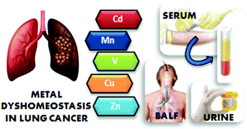 Graphical abstract: Metal dyshomeostasis based biomarkers of lung cancer using human biofluids