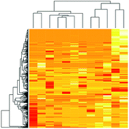 Graphical abstract: New aspects of iron–copper crosstalk uncovered by transcriptomic characterization of Col-0 and the copper uptake mutant spl7 in Arabidopsis thaliana