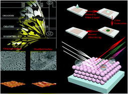 Graphical abstract: Polysulfide microspheres with chemical modification for generation of interfaces with macroscopic colour variation and biomimetic superhydrophobicity