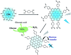 Graphical abstract: Interfacial engineering of carbon dots with benzenediboronic acid for fluorescent biosensing