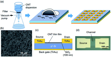 Graphical abstract: Origins of the variability of the electrical characteristics of solution-processed carbon nanotube thin-film transistors and integrated circuits