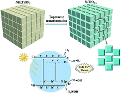 Graphical abstract: In situ formation of defect-engineered N-doped TiO2 porous mesocrystals for enhanced photo-degradation and PEC performance