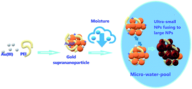 Graphical abstract: Hygroscopy-induced nanoparticle reshuffling in ionic-gold-residue-stabilized gold suprananoparticles