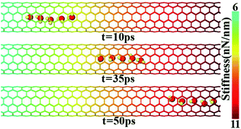 Graphical abstract: Spontaneous directional motion of water molecules in single-walled carbon nanotubes with a stiffness gradient