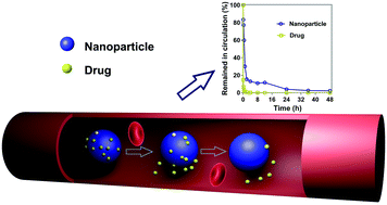 Graphical abstract: Reassessment of long circulation via monitoring of integral polymeric nanoparticles justifies a more accurate understanding