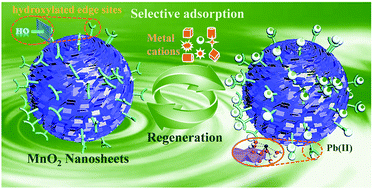 Graphical abstract: Site-specific surface tailoring for metal ion selectivity via under-coordinated structure engineering