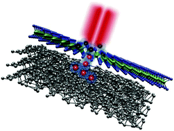 Graphical abstract: Efficient hole transfer from monolayer WS2 to ultrathin amorphous black phosphorus