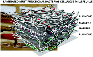 Graphical abstract: Nanocellulose films with multiple functional nanoparticles in confined spatial distribution
