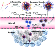 Graphical abstract: A novel strategy based on a ligand-switchable nanoparticle delivery system for deep tumor penetration