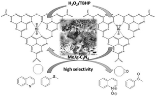 Graphical abstract: Highly dispersed Mo-doped graphite carbon nitride: potential application as oxidation catalyst with hydrogen peroxide