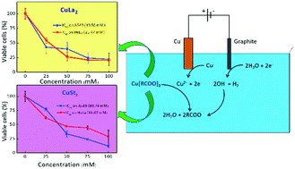 Graphical abstract: Electrochemical synthesis and in vitro cytotoxicity study of copper(ii) carboxylates with different fatty acid alkyl chain lengths